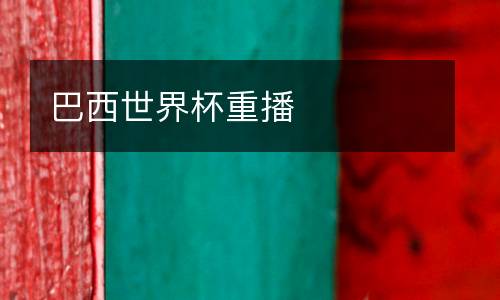巴西世界杯重播