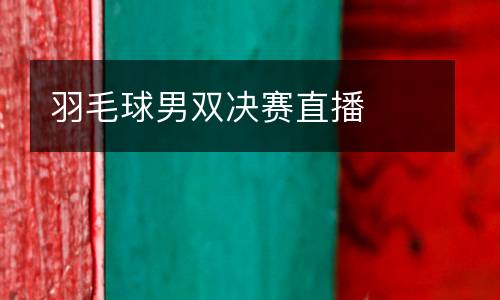 羽毛球男雙決賽直播